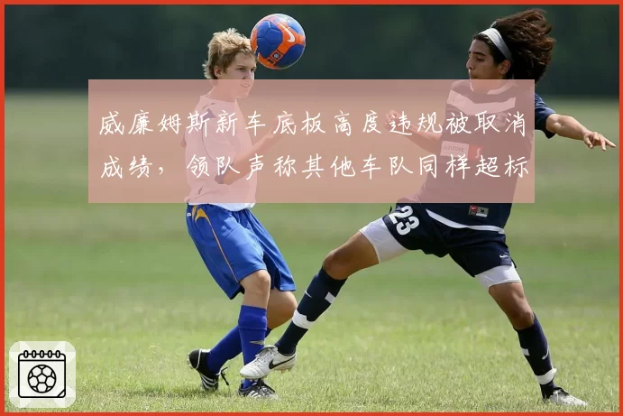 威廉姆斯新车底板高度违规被取消成绩，领队声称其他车队同样超标但未检测