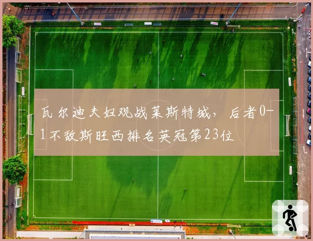 瓦尔迪夫妇观战莱斯特城,后者0-1不敌斯旺西排名英冠第23位